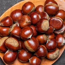 햇 알밤, 칼집밤 (특) 3kg