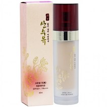 산수유 고은결 진 파운데이션 21호 40ml SPF 50+ PA+ 쿠션 파데 팩트 프라이머 화운데이션 파우더 톤업 비비 크림 건성 모공, 단품, 단품