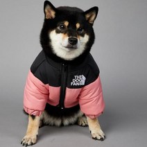 2023 SUPREPET패딩 개 겨울 옷 따뜻한 방풍 솔리드 코트 코튼 디자이너 대형 강아지 액세서리, 분홍색+4XL