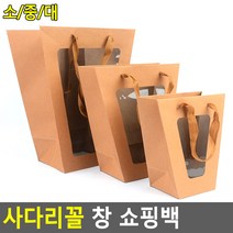 투명창 종이가방 1P 특이한 선물백 쇼핑가방 포장가방, 1개, 중