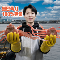 [기봉수산] 국산대게 박달대게 명품대게 당일 수확 당일배송 선주 직배송, 국산 박달대게 대 3마리