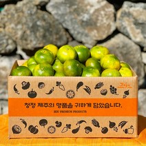 제주 감귤 햇 노지 타이벡 감귤 극조생 조생 서귀포 효돈감귤, 타이벡감귤, 17.조생 대과(L~2L) 2.5kg