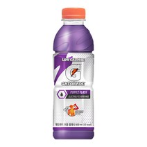 게토레이 퍼플 플래시, 24개, 600ml