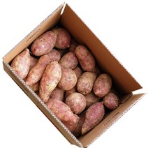 파머스넷 대용량 포장 꿀고구마 정품, 박스 포장 꿀고구마 10kg, 중상(60g~120g