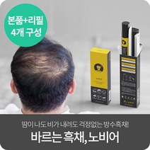 노비어 프리미엄 바르는 흑채 탈모커버 남성 여성 워터프루프 흑채 본품+리필, 4세트