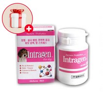 반려동물 인트라젠 종합 영양제 장염 설사 면역력증강 관절영양제 타블렛(알약)200정, 단품, 단품