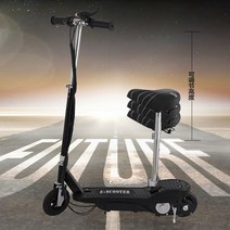전동킥보드 24V킥보드 전동차 미니 대리운전 킥보드 통용 가능 J접이식 호버보드 바퀴두개 성인 자전거, C01-24V, T05-탑승가능 프론트바퀴 공기충