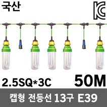 반야 캡형 전등선 E39 13구 50M 2.5SQ 65W 방우작업선 창고 축사 야외작업 전기작업선 전기연장선 작업조명 연장코드 코드작업선 줄조명 정비등 건설현장 산업조명, 1개