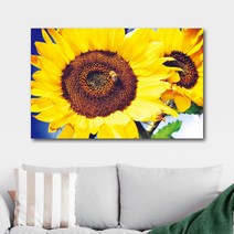 일음쇼핑^^*m돈을 부르는 해바라기 캔버스 액자 허니플라워 인테리어 UV출력 벽걸이 그림 소품 꽃액자 컨버스 장식일medi^*^, ab*^*선택있슴35x35cm