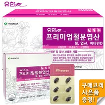 유한메디카 프리미엄 철분 엽산 비타민D 120캡슐 1개 철분영양제, 60정, 30g, 2개
