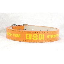 서은이네 반려동물 가죽목줄 이름각인 인식표 이름표 소중대형견용-16가지색상, 베이지, S1.5X37 조절범위26~34cm