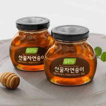 강원 송이산 자연송이꿀 200gx2 국내산 송이버섯꿀, 반려동물닷컴 1, 반려동물닷컴 본상품선택