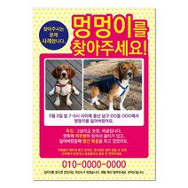 반려견찾기애완실종전단지 고양이 실종 강아지를찾아주세요 디자인무료, 샘플3, 50매