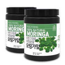 퓨어영 모링가 분말 가루 300g, 2통