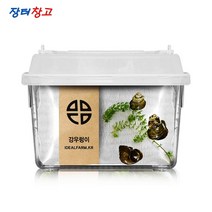강우렁이 관찰세트 과학탐구 수서곤충 표면장력 물속생물 물장군 연못 초등수업 자연학습 체험, 단품