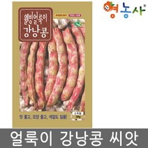 얼룩이 강낭콩씨앗 30g, 얼룩이강낭콩