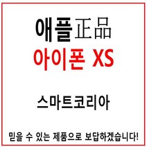 애플코리아 정품 아이폰XS 중고 공기계, 256기가, 색상판매자문의