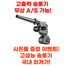독일기술 송풍기 무선 소형 엔진 낙엽 청소기 차량용 미니 세차용 충전, 기본형 배터리 1개