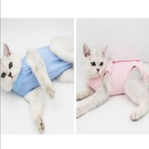 티셔츠/후드 애견옷 켈리몰 고양이 스판 중성화수술복 중성화옷, Always™ L_스카이바이올렛_AW™