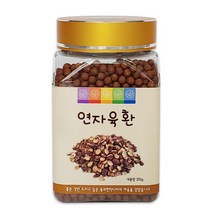 동의한약나라 연자육환 210g, 1개