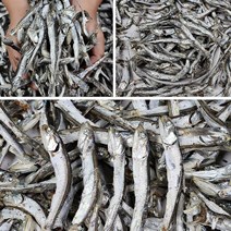 국멸치 고바멸치 건어물도매몰국물용다시멸치, 다시멸치 상 1.5kg