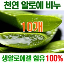 [오후5시 당일발송] 고농축 알로에비누 촉촉촉 보습진정 에너지 생 알로에천연비누 세수비누 비누 알로에 세안비누 천연 얼굴 YB맘, 10개, 100g