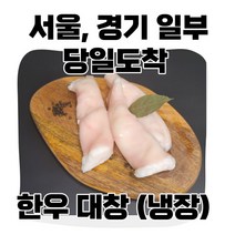 (당일도착)세척 연육완료 한우대창 생물 소대창(냉장) 600g 캠핑용 가정용, 1개