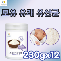 검사 통과한 안전한 모유 유래 유산균 19종 생 유신균 프락토 올리고당 함유 락토바실러스 플란타륨 파라 카제이 카재이 람노서스 아시도필루스 루데리 불가리구스 퍼멘툼 가세리, 230g, 12개