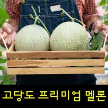 영화농산 프리미엄 멜론 8kg 곡성멜론 멜론가격, 상품선택