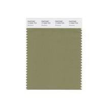 팬톤 17-0525X Gloss 블랙 Clear 스마트 컬러 스와치 카드 Mosstone
