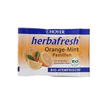 호야 BIO 비오 허브 프레쉬 오렌지 민트캔디 17g Hoyer