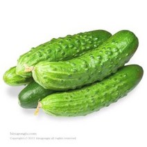 오이추출물(cucumber extract), 100ml