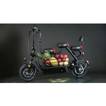 전기자전거 부모-자식 여성의 가정 교통 픽업 및 하차 어린이 배터리 자동차 소형 트램 접이식 리튬 배터리 전기 자전거, 48V, 0아, 2인승 버전/8AH/자동차 등급 A  배터리/전방 및