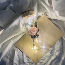 [여자친구편지지] [프렌치로즈]6타입 LED 코르크 유리병 기념일 선물 꽃 편지지 세트, 핑크프리저브드플라워