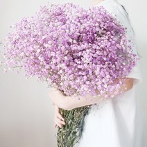 말린 부케 드라이플라워 있음 병 숏 장식 수반 큰 다발 카메라 졸업식 고퀄리티 안개꽃 흥 화초 4868451858, 보라색 안개꽃 오버사이즈 빔