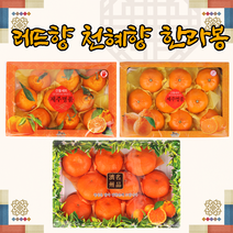 제주 한라봉 레드향 천혜향 감귤 귤 노지감귤 3kg 5kg, 4.레드향 3kg 9과~10과 (로얄사이즈 추천)