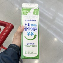 남양 GT 고소한 락토프리 우유 900ML X 2개, 아이스박스포장