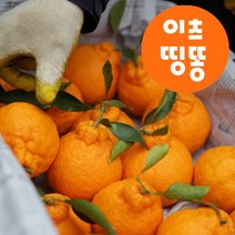 제주 당도높은 고당도 만감 한라봉 가정용 명절 선물세트 3kg 5kg, 3kg 대과