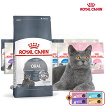로얄캐닌 캣 오랄케어 1.5kg 생후 12개월 이후 반려묘의 구강관리(치석 치태 형성을 방지) 간식2종&보관팩증정, 간식/지퍼백등 증정, 2024.05