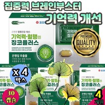 집중력 브레인부스터 기억력 개선 향상 증진 집중력개선 학업 뇌비타민 자연유래종합비타민 스트레스관리 뇌영양제추천 수험생기억력영양제 최고함량 인지능력 향상 x4박스 기획세트
