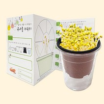 [칭찬] 콩나물 키우기 재배기 키트, 콩나물키트-1인세트+관찰지