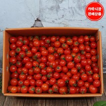 [맛다름] [가락시장 경매 식자재 과일][국산] 방울토마토 5kg내외, 1개, 5kg
