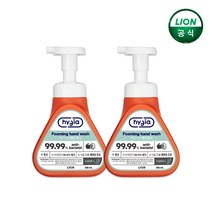 하이지아 핸드워시 유칼립투스 385ml용기 x 2개 / 거품형 손세정제 99.99%, 2.하이지아 페퍼민트 385ml 용기
