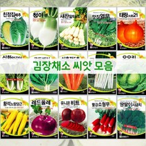 김장 채소 씨앗 모음 / 배추 무 당근 알타리 갓 엇갈이 양파 종자 씨, 23. 새찬알타리 30g