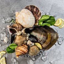 모듬조개 6kg이상 조개구이 조개탕 조개찜 바다의맛을 다양하게 석화 꼬막 홍합 생합 가리비 키조개 다모여라