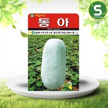 솔림텃밭몰 동아씨앗 20립 동아 박과 일년생 넝쿨식물 열매식물, 1개