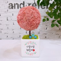 스칸디아모스 천연이끼나무 공기정화 주문제작, 03.빅큐브 꽃 트리-핑크(주문제작문구)