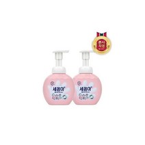 LG 생활건강 세균아 꼼짝마 핸드워시 파우더향 용기 250ml 2개
