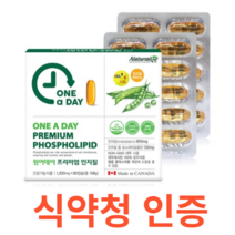 네추럴라이즈 원어데이 프리미엄 인지질 식약처 식약청 인정 인증 해썹 haccp 800mg 66.7% 포스파티딜콜린 130mg 100% 대두유 레시틴 식물성 콜레스테롤, 90포x1개