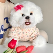 떨샵 강아지옷 잔꽃프릴 이너티 티셔츠 애견옷 올인원, [강아지옷]JDF-잔꽃프릴티셔츠, S